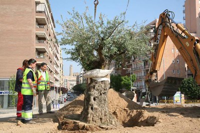 Imatge_cat_5679.jpg.