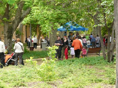 Imatge_cat_5706.JPG.