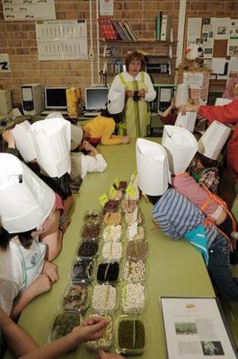 Els professors i alumnes del centre han valorat molt positivament la iniciativa. A la imatge, el taller de llegums..