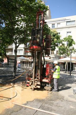 Imatge_cat_5906.jpg.