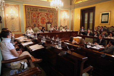 El Síndic ha presentat la memòria anual al davant del Ple Municipal.