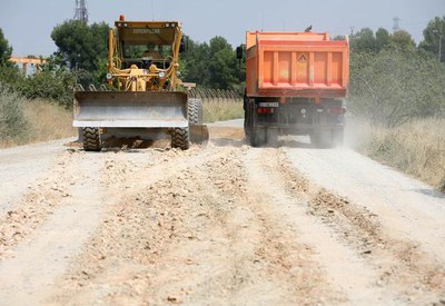 Imatge_cat_6039.jpg.