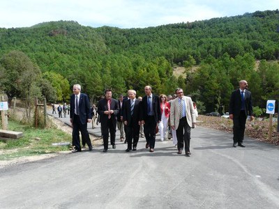 Imatge_cat_6161.JPG.