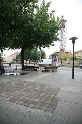 Imatge_cat_6248.JPG.