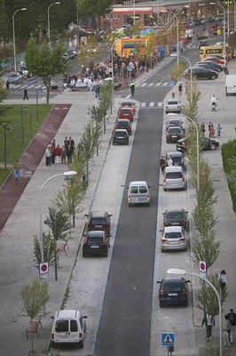 Imatge_cat_6291.jpg.