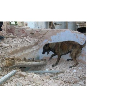 <bound method DexterityContent.Title of <NewsItem at /fs-paeria/paeria/ca/actualitat/noticies/8581>>.