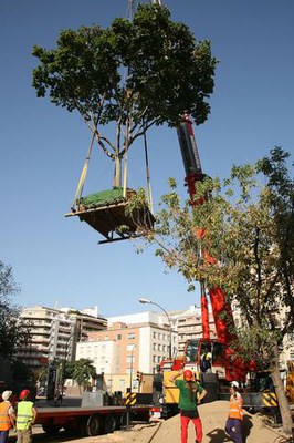 Imatge_cat_6362.jpg.