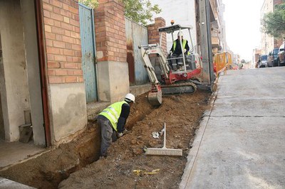 Imatge_cat_6499.jpg.