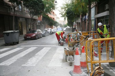 Imatge_cat_6517.jpg.