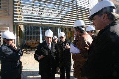 Imatge_cat_6538.jpg.