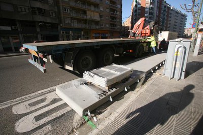 Imatge_cat_6548.jpg.