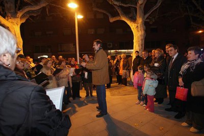 Imatge_cat_6558.jpg.