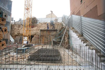 Imatge_cat_6572.JPG.