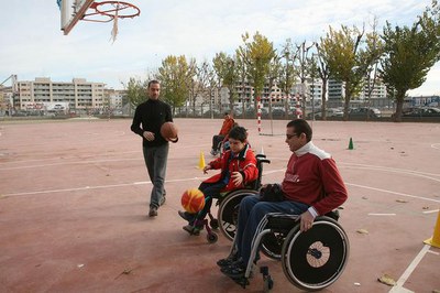 Imatge_cat_6577.jpg.