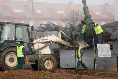 El primer port d'arbres per a l'Arborètum va arribar a Lleida la setmana passada..