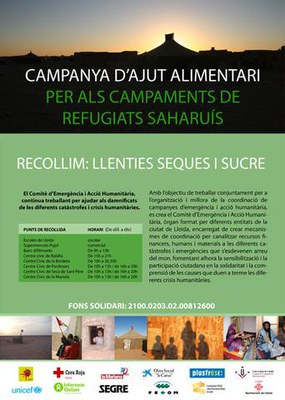 El cartell de la campanya..