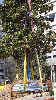 <bound method DexterityContent.Title of <NewsItem at /fs-paeria/paeria/ca/actualitat/noticies/9114>>.