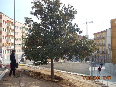 Imatge_cat_6841.JPG.