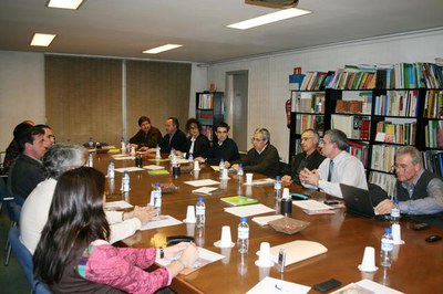 Imatge_cat_6864.jpg.