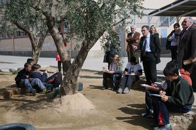 Entre els nous arbres que s'han plantat a l'escola, hi ha sis oliveres cedides per la família Mateu..