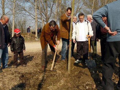 Imatge_cat_6953.JPG.