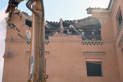 Imatge_cat_6987.jpg.