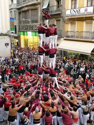 Imatge_cat_7055.JPG.