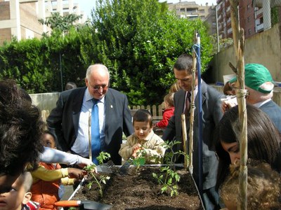 Imatge_cat_7180.jpg.