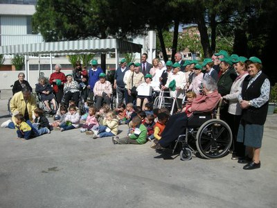 Imatge_cat_7181.jpg.