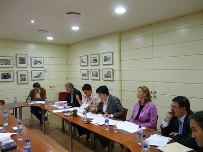 Imatge_cat_7263.JPG.