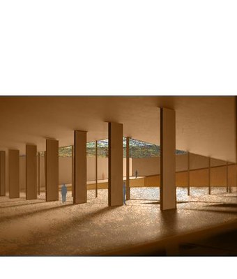 Imatge_cat_7334.jpg.