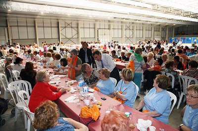 Imatge_cat_7373.jpg.