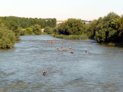 4) Un grup de piragüistes ha fet el trajecte aigües avall.