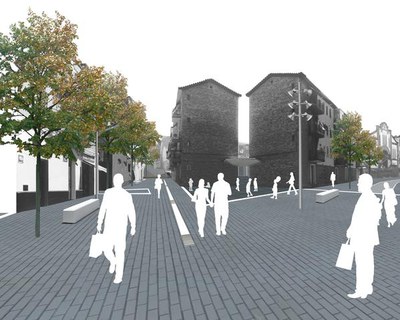 Imatge_cat_7411.jpg.