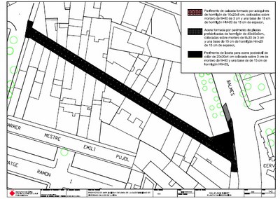 Imatge_cat_7525.jpg.