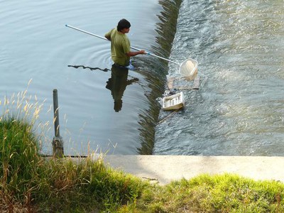 © Ajuntament de Lleida.