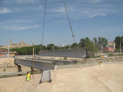 Imatge_cat_7645.jpg.