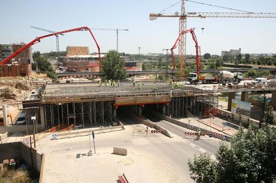 Imatge_cat_7653.JPG.