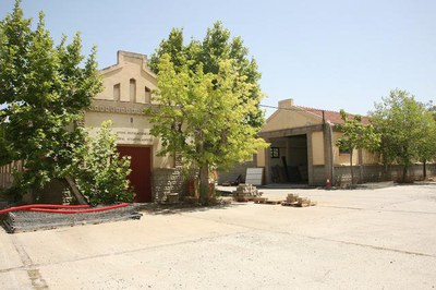 Imatge_cat_7655.jpg.