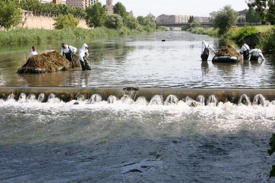 Imatge_cat_7723.jpg.