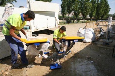 Imatge_cat_7734.jpg.