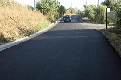 Imatge_cat_7808.jpg.