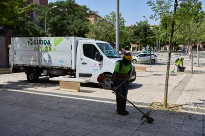 Desbrossament d'escocells.