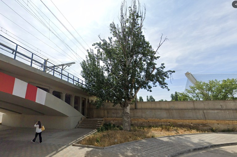 Aquest àlber a l'avinguda del Segre també envaeix l'espai de la infraestructura ferroviària
