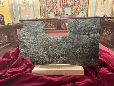 El premi és una reproducció del “Bronze d’Ascoli”, placa de bronze apareguda el 1909 a la localitat italiana d’Ascoli, que representa la vinculació d….