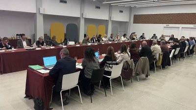 Un moment de la reunió del plenari del Consell Econòmic i Social celebrat avui..