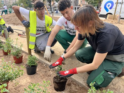 Dos dels joves treballen en la plantació.