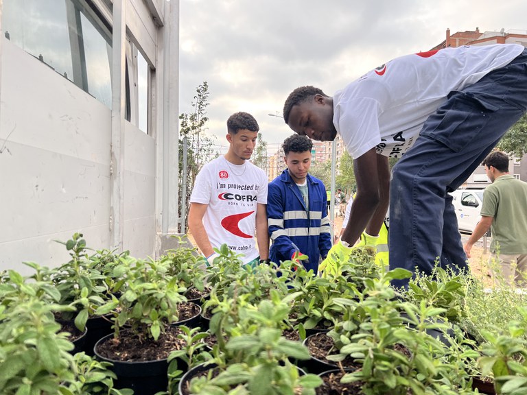 S'han plantat 400 plantes