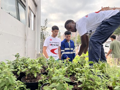 S'han plantat 400 plantes.