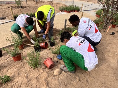Tasques de plantació al tram renaturalitzat de Fleming.